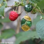 Clips YOUYOU – Image 7